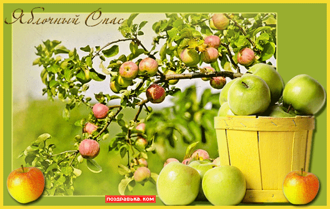 Открытки с яблочным спасом скачать бесплатно. Открытки с яблочным спасом gif. 