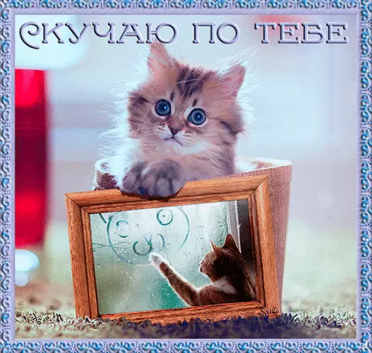 Анимационные открытки скучаю по тебе. Открытки я так скучаю скачать бесплатно.