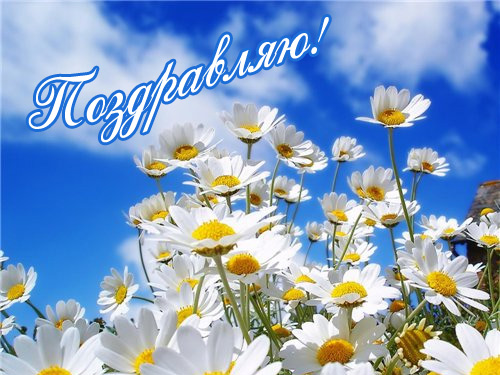 Анимационные открытки с цветами для вотсапа. Поздравительные открытки скачать...