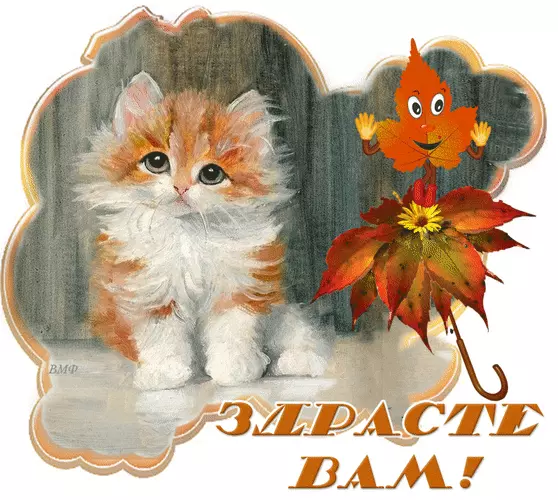 Красивые анимационные открытки с различными приветствиями скачать бесплатно.