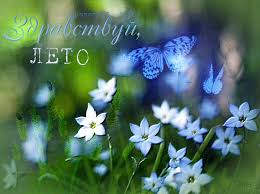 Открытки с первым днем лета скачать бесплатно. Поздравления с началом лета.