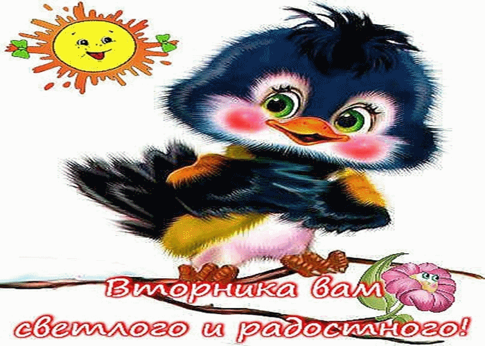 Позитивные открытки на вторник. Картинки про вторник скачать бесплатно.