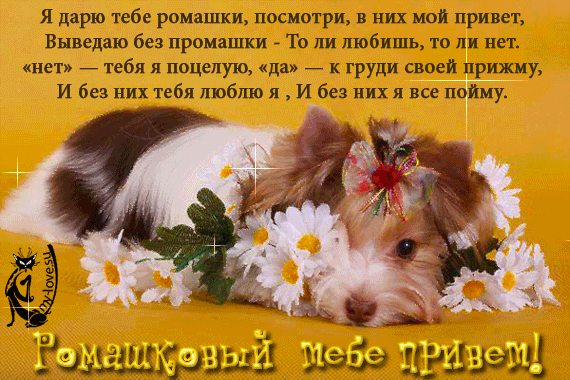 Красивые анимационные открытки с различными приветствиями скачать бесплатно.