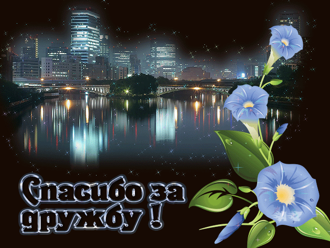 Красивые открытки для любимых друзей. Открытки о дружбе скачать бесплатно.