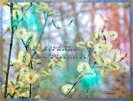 Поздравительные открытки с Вербным Воскресеньем скачать бесплатно.