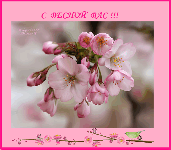 Красивые открытки с первым днем весны. Открытки с первым днем весны скачать бесплатно.