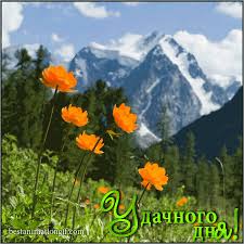 Открытки желаю удачи скачать бесплатно. Красивые открытки с пожеланиями удачи.