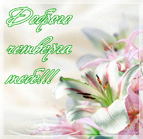 Анимационные открытки доброго утра и отличного четверга скачать бесплатно.