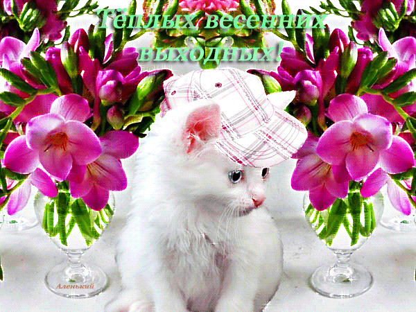 Красивые открытки замечательных выходных. Открытки хороших выходных скачать б...