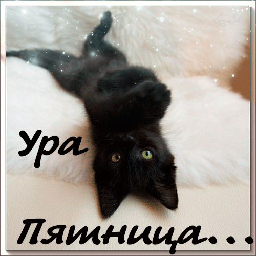 Прикольные открытки на пятницу. Открытки с пожеланиями на пятницу скачать бес...