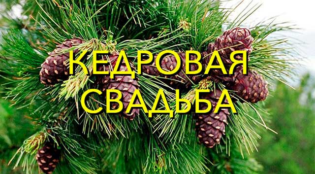 Открытки на Кедровую свадьбу 49 лет. Картинки с надписью 49 лет вместе.
