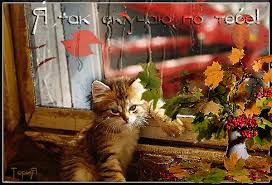 Анимационные открытки скучаю по тебе. Открытки я так скучаю скачать бесплатно.