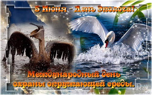 Открытки с днем эколога скачать бесплатно. Открытки на Всемирный день защиты ...