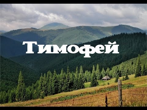 Анимационные открытки с именем Тимофей. Открытки с мужскими именами с поздрав...
