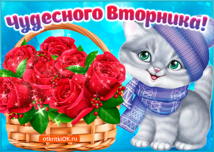 Позитивные открытки на вторник. Картинки про вторник скачать бесплатно.