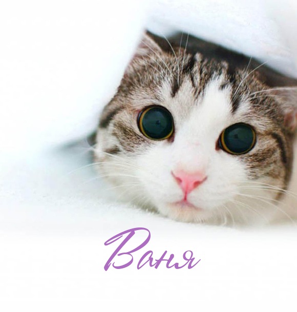 Открытки с мужскими именами. С днём рождения Ваня открытки скачать. Открытки ...