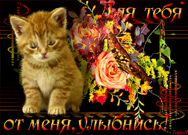 Весёлые открытки с пожеланиями улыбнись. Открытки с улыбкой скачать бесплатно.