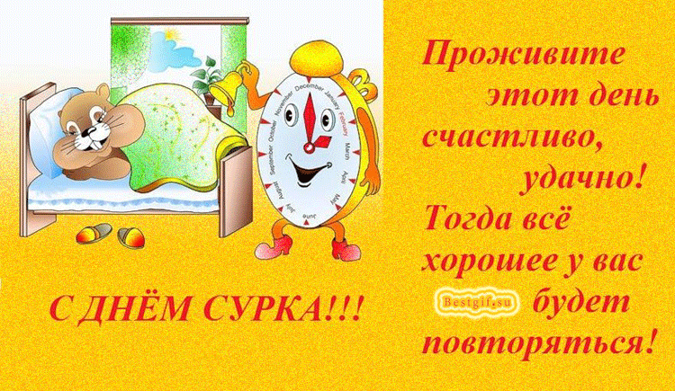 Веселые открытки с приколами на день сурка скачать бесплатно