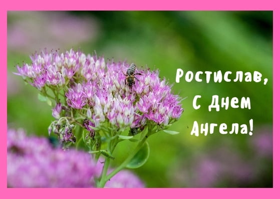 Открытки с именем Ростик скачать бесплатно. Открытки с мужскими именами. С дн...