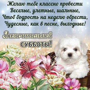 Интересные открытки на субботу. Веселые открытки на выходные. 