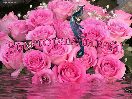 Открытки скорейшего выздоровления скачать бесплатно в формате gif.