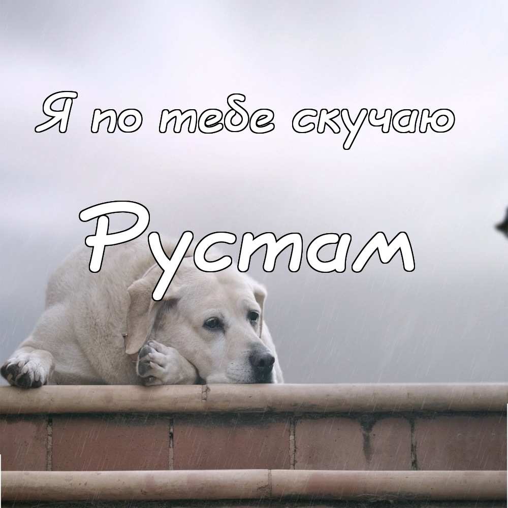 Поздравительные открытки с именем Рустам. Открытки с мужскими именами. С днём...