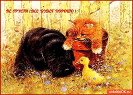 Мерцающие открытки с пожеланиями не грустить. Открытки не грусти скачать бесп...