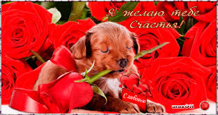 Скачать бесплатно открытки с пожеланиями счастья. Мерцающие открытки желаю сч...