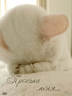 Красивые открытки с извинениями скачать бесплатно. Открытки прости меня gif.