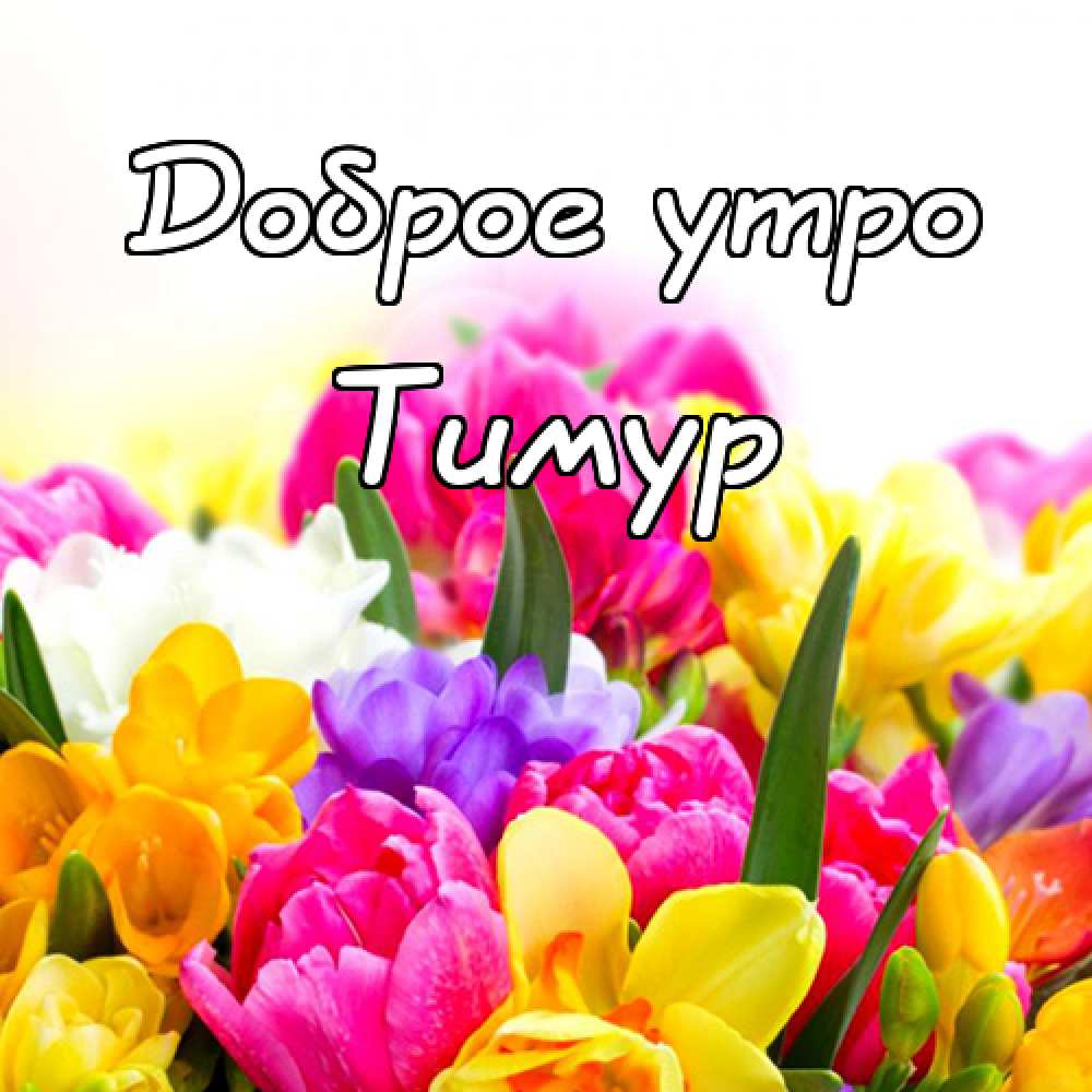 Открытки с именем Тима. С днём рождения Тимур открытки. Поздравительные Откры...