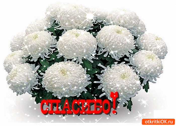 Анимационные открытки с благодарностью. Открытки спасибо скачать бесплатно.