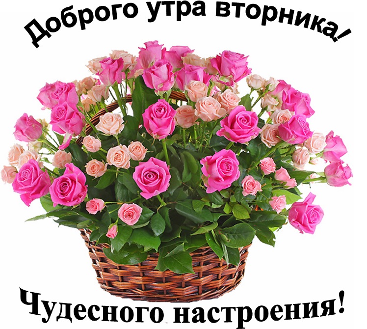 Удачного вторника доброе. Цветы вторник. Корзины роз с пожеланиями. Букетик цветов для настроения. Хорошего вторника цветы.