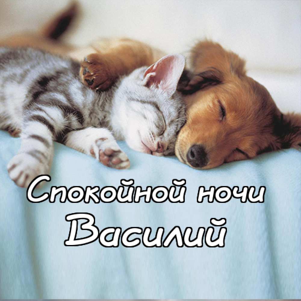 Анимационные открытки с именем Василий. Открытки с днём рождения Вася.