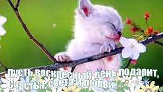 Мерцающие открытки про воскресенье. Открытки на воскресное утро.