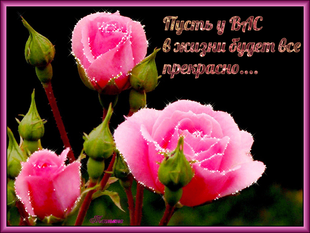 Веселые открытки с пожеланиями все будет хорошо скачать бесплатно.