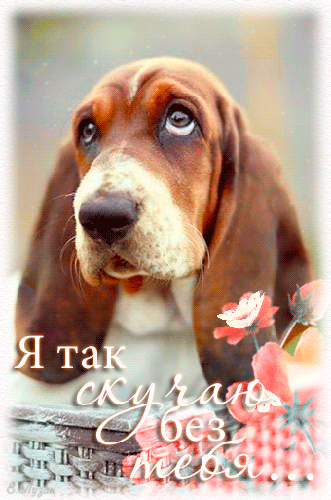 Анимационные открытки скучаю по тебе. Открытки я так скучаю скачать бесплатно.