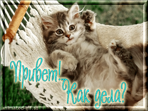 Красивые анимационные открытки с различными приветствиями скачать бесплатно.