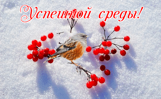 Открытки с пожеланиями отличной среды. Красивые открытки на среду.