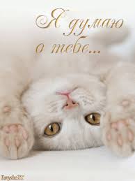 Анимационные открытки с признаниями. Открытки думаю о тебе gif.