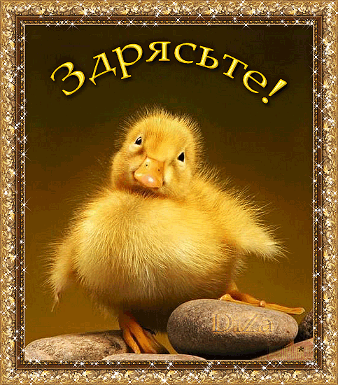 Красивые анимационные открытки с различными приветствиями скачать бесплатно.