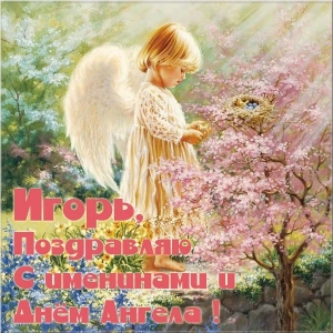 Открытки с именем Игорь скачать бесплатно. Анимационные открытки с именем Иго...