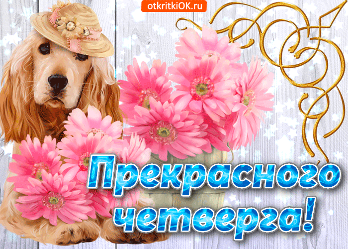 Открытки отличного четверга скачать бесплатно. Прикольные открытки на четверг...