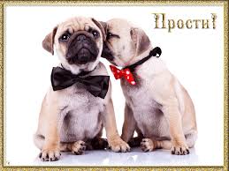 Красивые открытки с извинениями скачать бесплатно. Открытки прости меня gif.