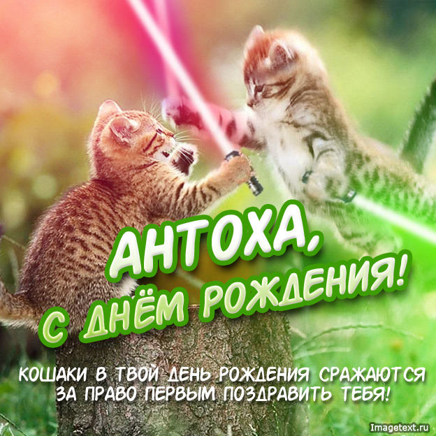 Открытки с именем Антон скачать бесплатно. Поздравительные открытки с именем ...