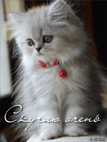 Анимационные открытки скучаю по тебе. Открытки я так скучаю скачать бесплатно.