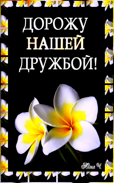 Красивые открытки для любимых друзей. Открытки о дружбе скачать бесплатно.
