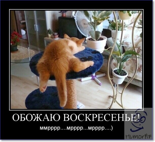 Мерцающие открытки про воскресенье. Открытки на воскресное утро.