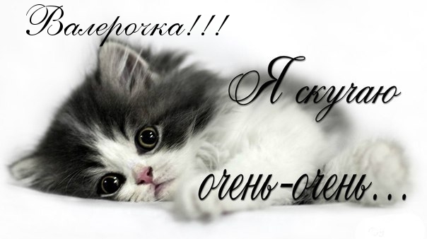 Открытки с днём рождения Валера. Поздравительные открытки с мужскими именами.