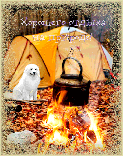 Открытки с пожеланиями хорошего отдыха. Красивые открытки отличного отпуска.