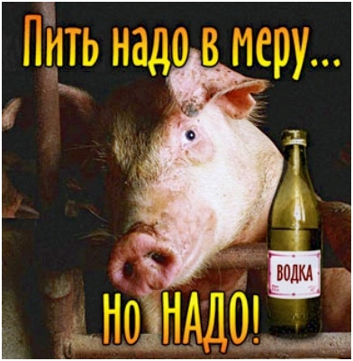 Открытки с приколами на День Рождения Русской Водки скачать бесплатно.